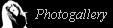 Photogallery